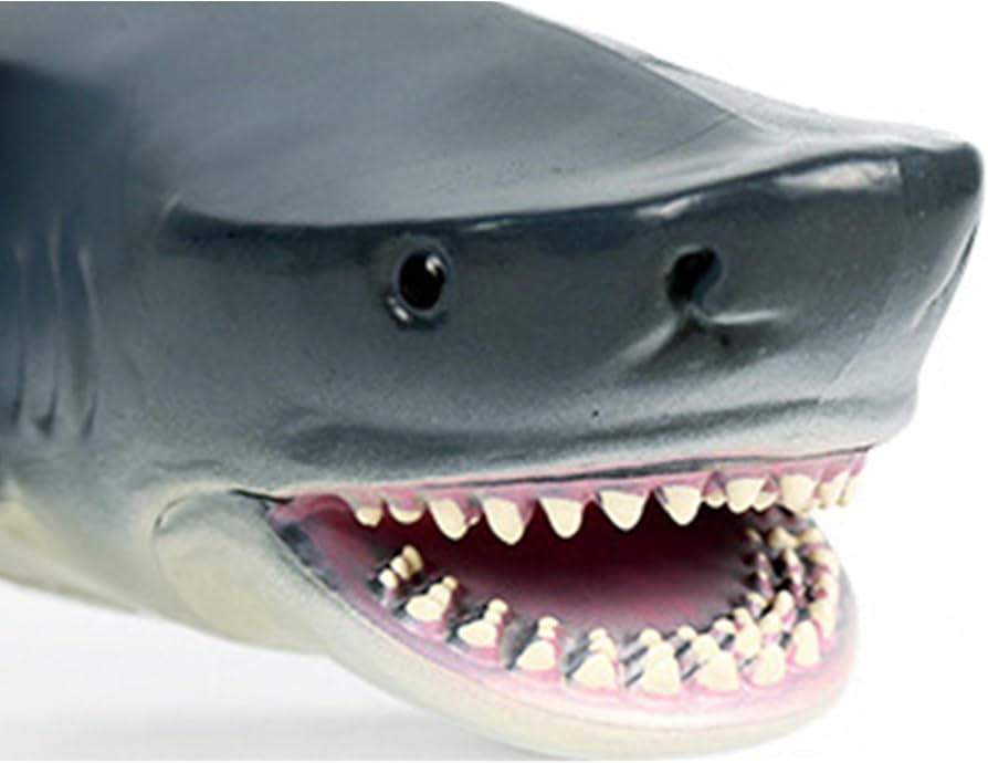 イタチザメ 骨用 Amazon | BACALYSO | イタチザメ サメ 28cm 海洋動物 生物 魚類